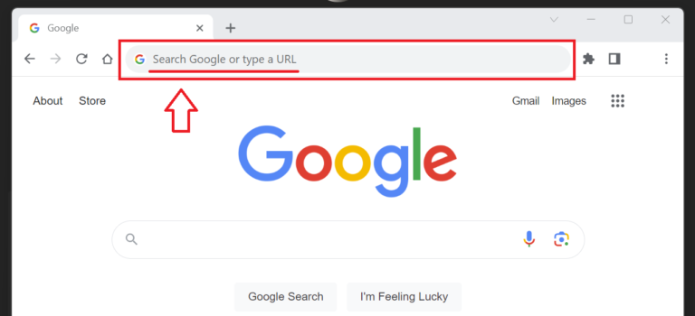 What is Search Google or type a URL? Which Is Better in 2025?
